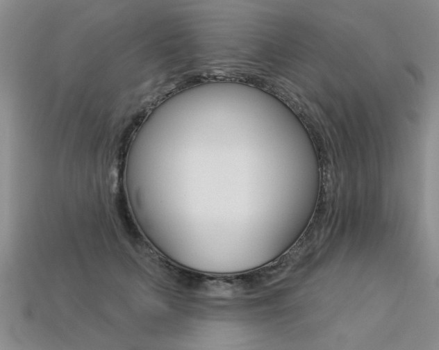 X0000113270703200909101311