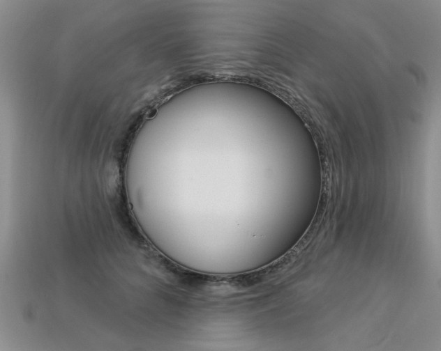 X0000113270704200909101311