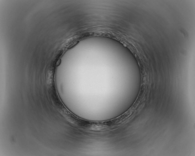 X0000113270708200909101311