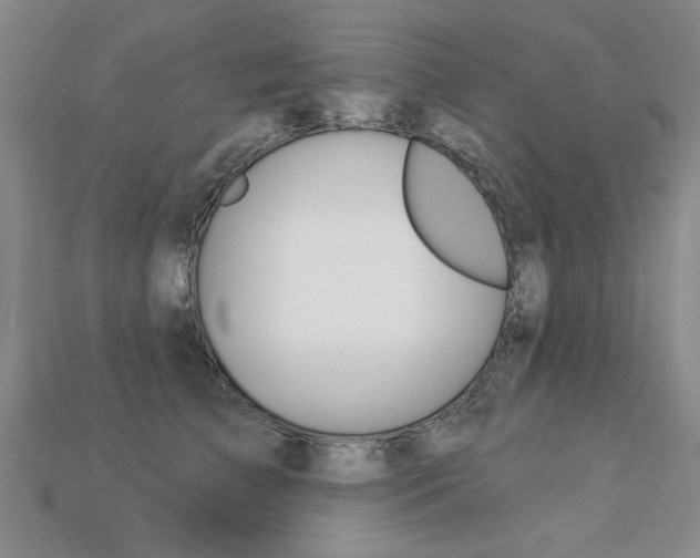 X0000113270709200909101311