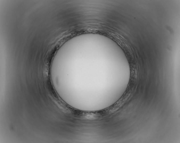X0000113270710200909101311