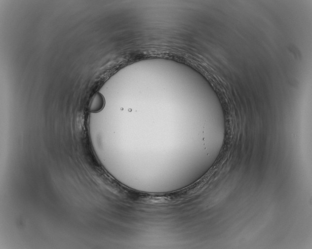 X0000113270711200909101311