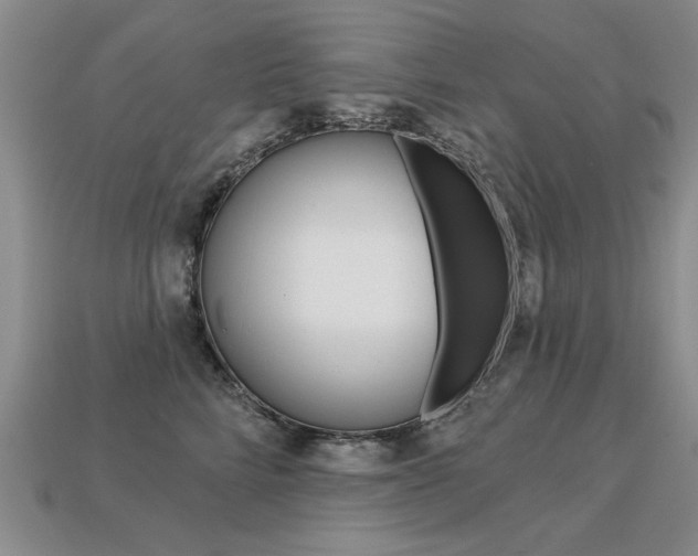 X0000113270712200909101311