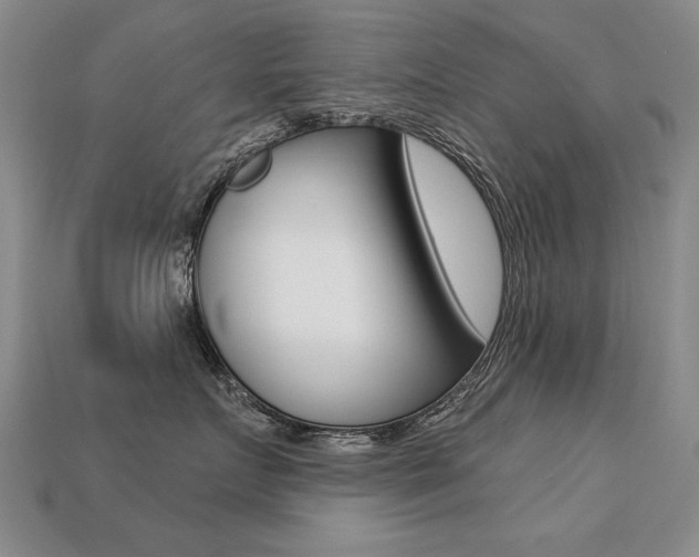 X0000113270719200909101311
