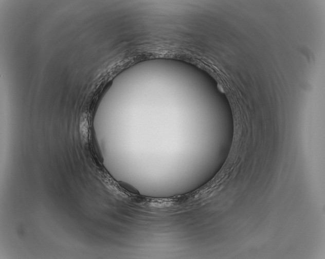 X0000113270720200909101311