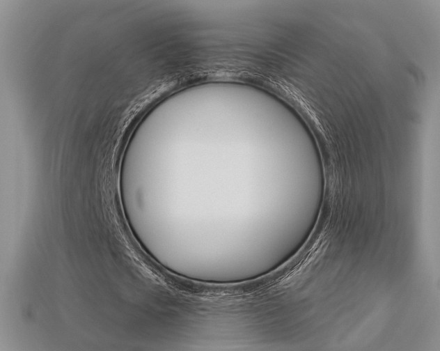 X0000113270721200909101310