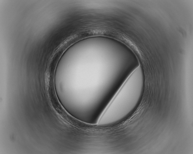 X0000113270722200909101310