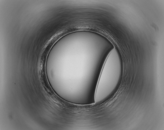X0000113270723200909101310