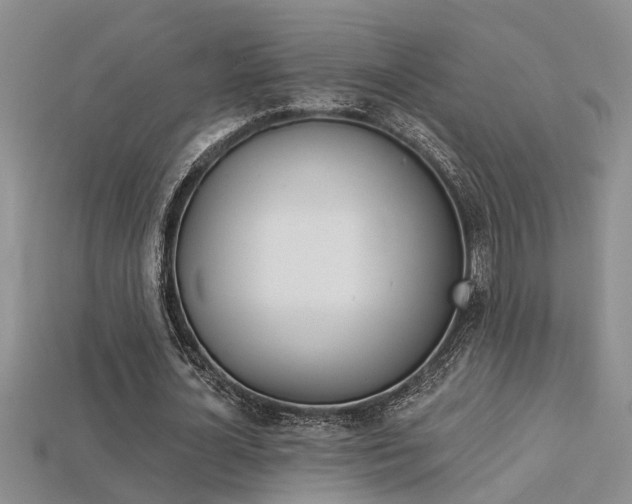 X0000113270724200909101310