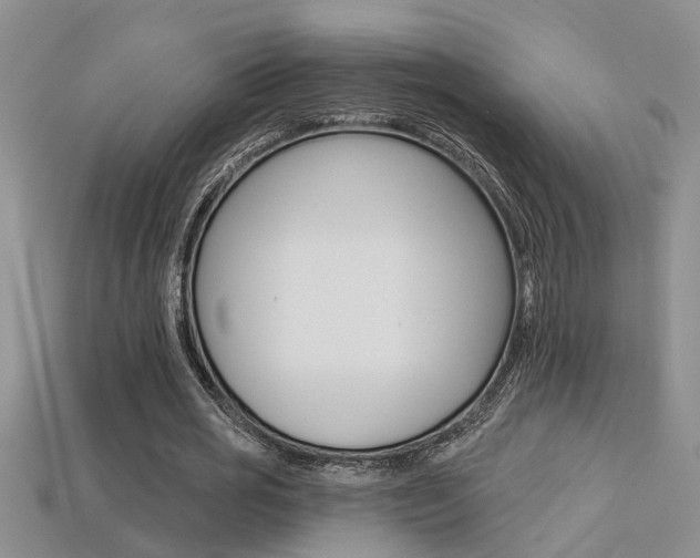X0000113270725200909101310