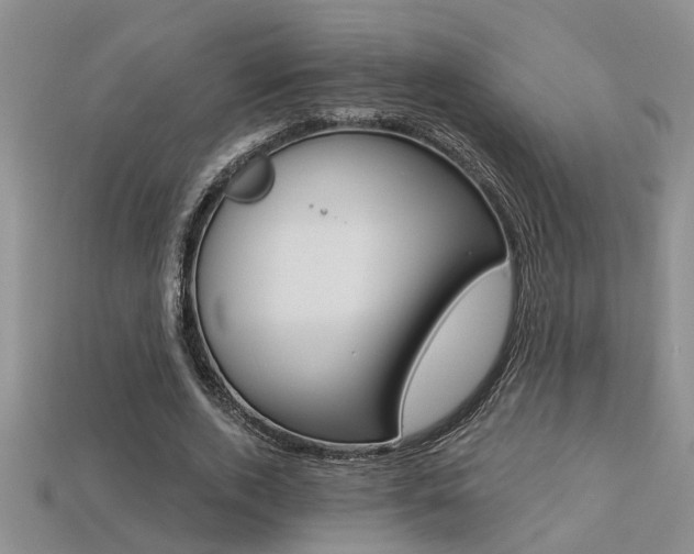 X0000113270728200909101310