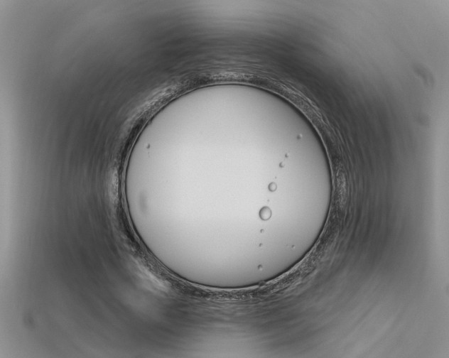 X0000113270729200909101310