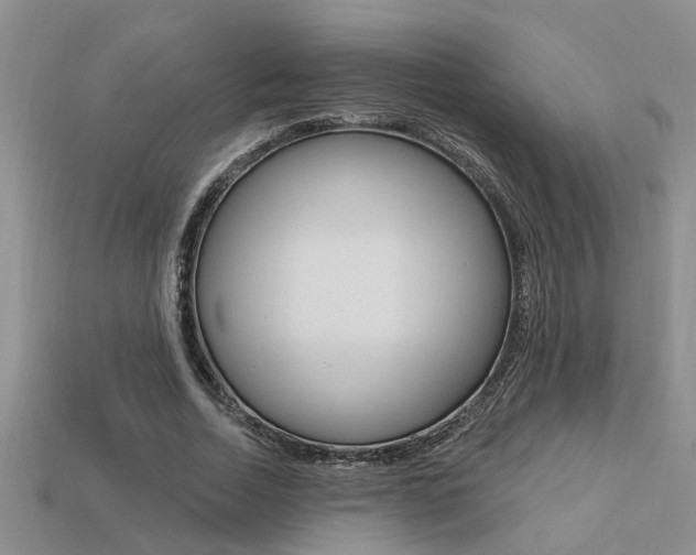 X0000113270730200909101310