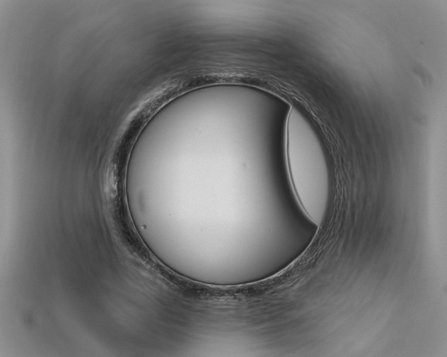 X0000113270731200909101310