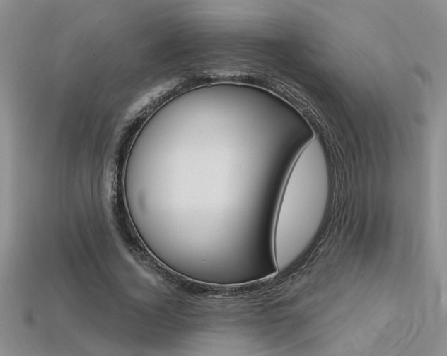 X0000113270732200909101310