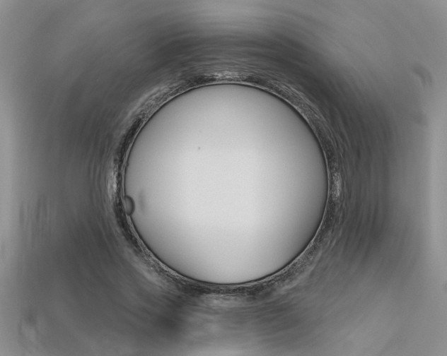 X0000113270733200909101310