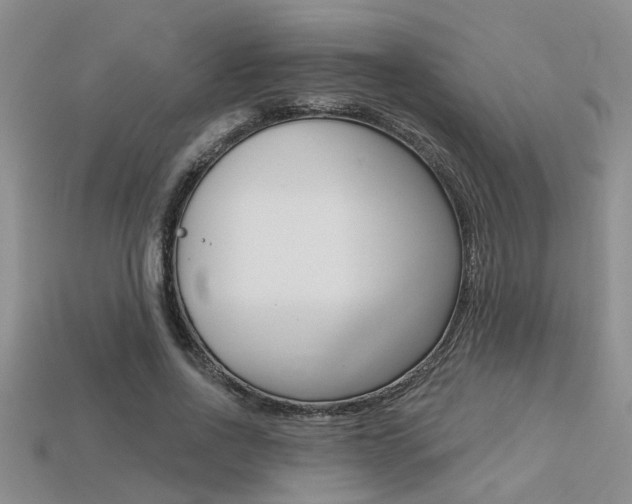 X0000113270734200909101310