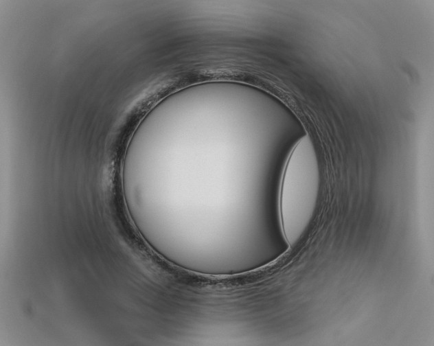 X0000113270735200909101310
