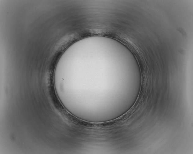 X0000113270738200909101310