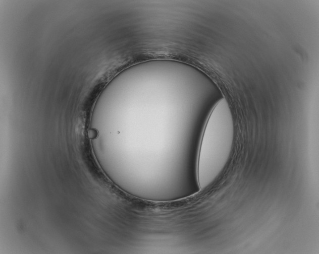 X0000113270739200909101310