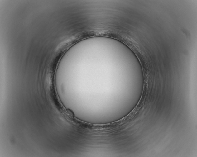 X0000113270740200909101310