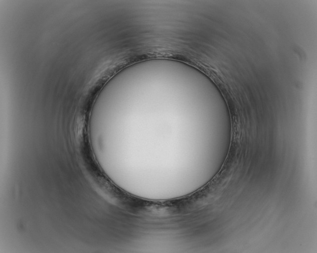 X0000113270742200909101310