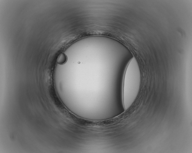 X0000113270743200909101310