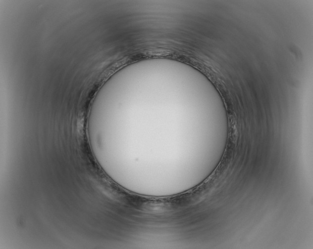 X0000113270745200909101310