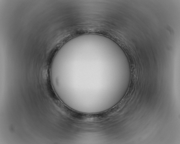 X0000113270746200909101310