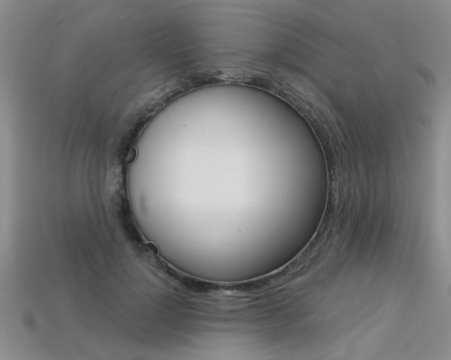 X0000113270748200909101310