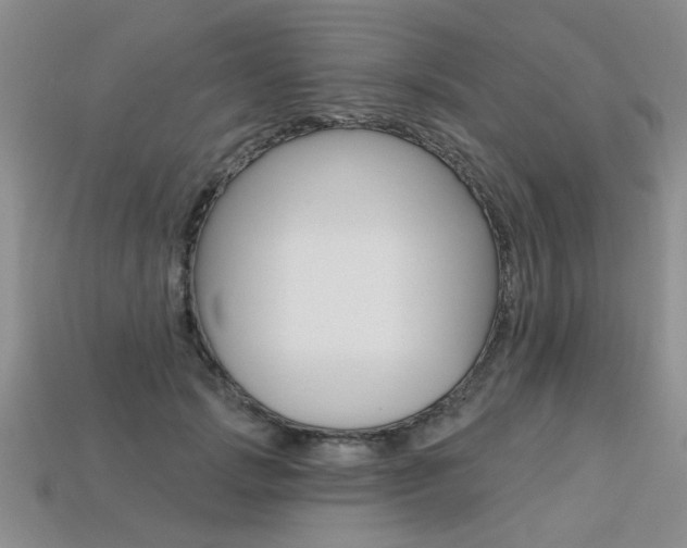 X0000113270749200909101310