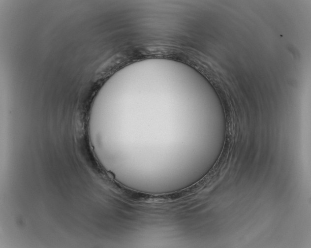 X0000113270751200909101310