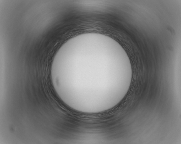 X0000113270752200909101310