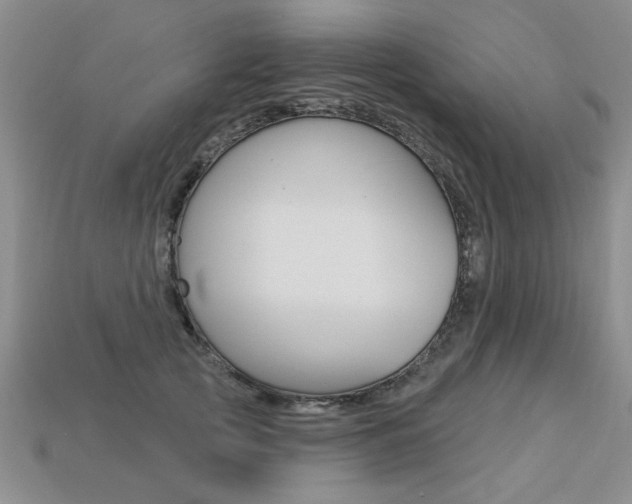 X0000113270753200909101310
