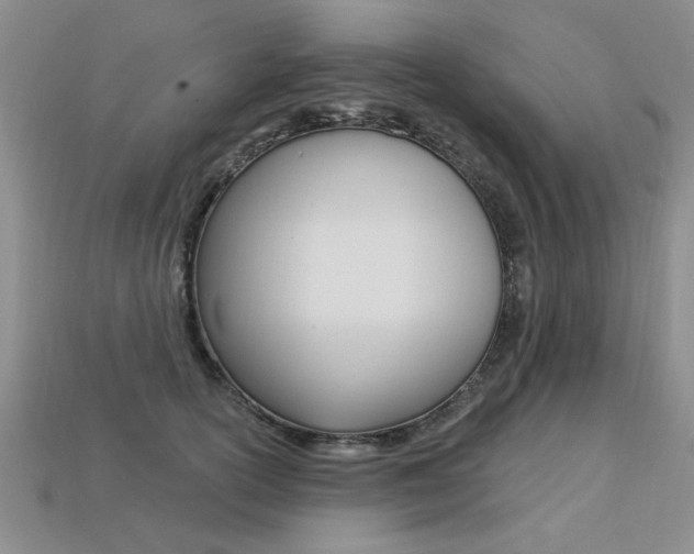 X0000113270754200909101310