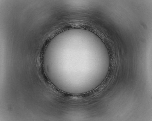 X0000113270755200909101310