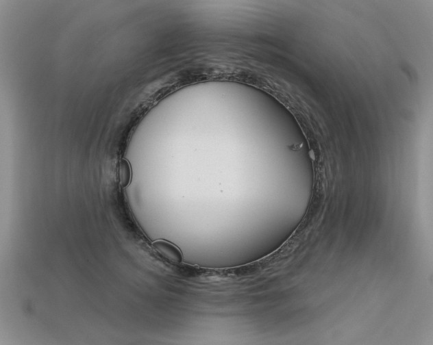 X0000113270756200909101310