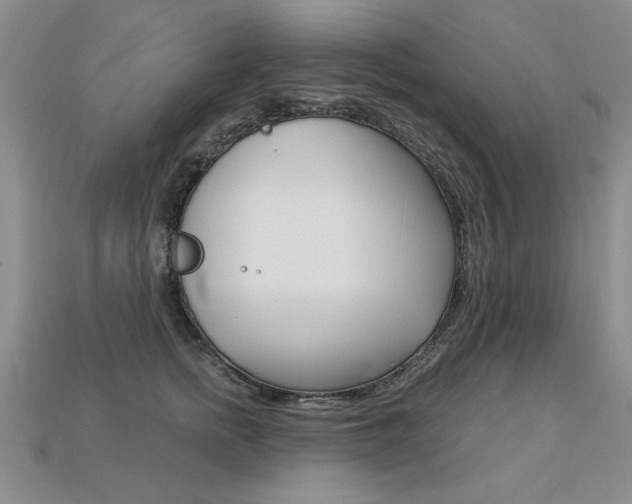 X0000113270758200909101310