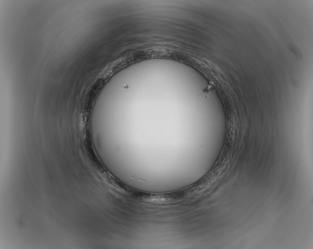 X0000113270759200909101310