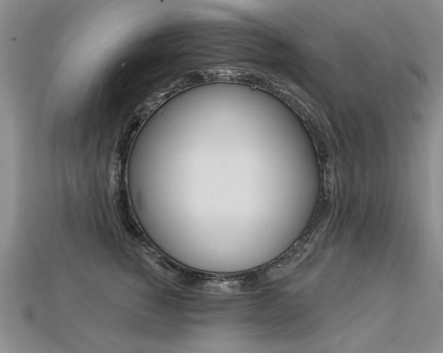X0000113270760200909101310