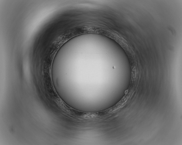 X0000113270762200909101310