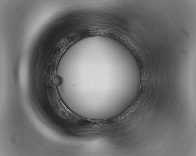 X0000113270764200909101310