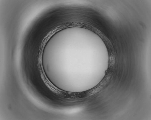 X0000113270765200909101310