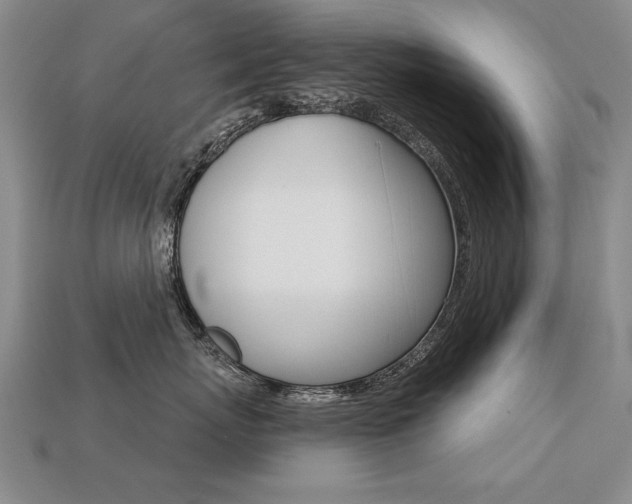 X0000113270767200909101311
