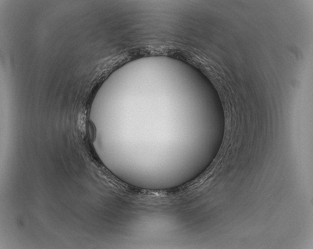 X0000113270768200909101311