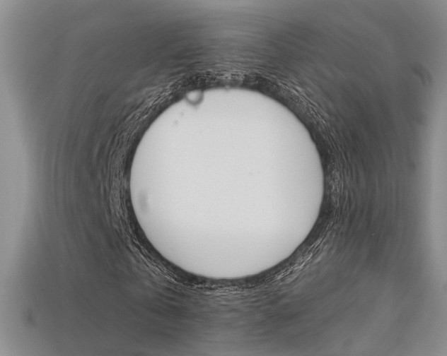 X0000113270769200909101310