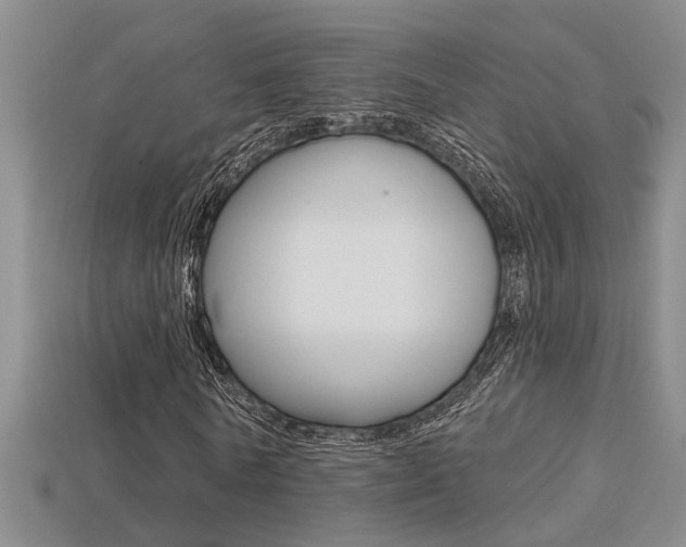 X0000113270770200909101310
