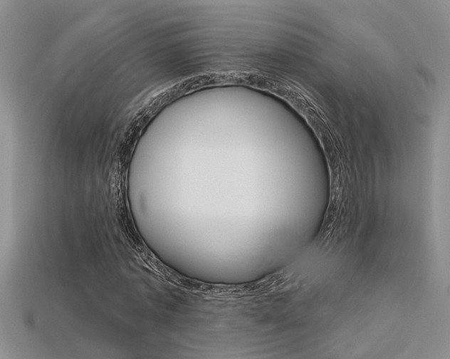 X0000113270773200909101310