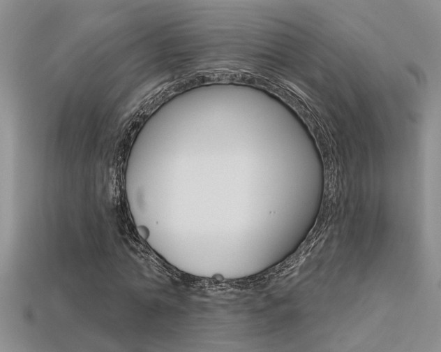 X0000113270774200909101310
