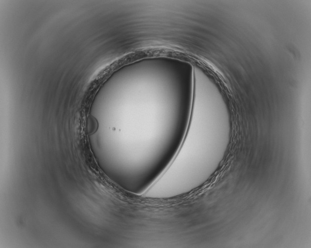 X0000113270775200909101310